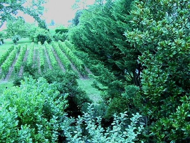 Les Id De Saint Emilion Bed & Breakfast Exterior photo